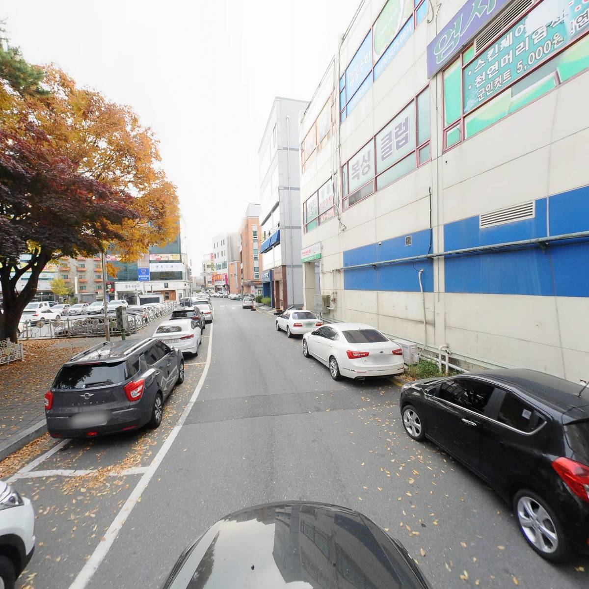 참약사2층구름약국_4