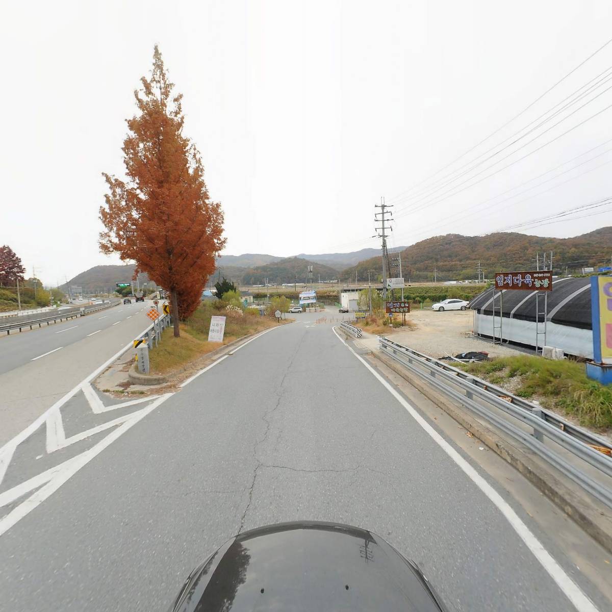 엄지다육농장_4
