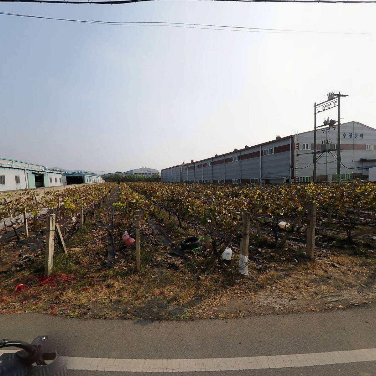 (주)에비던스임플란트