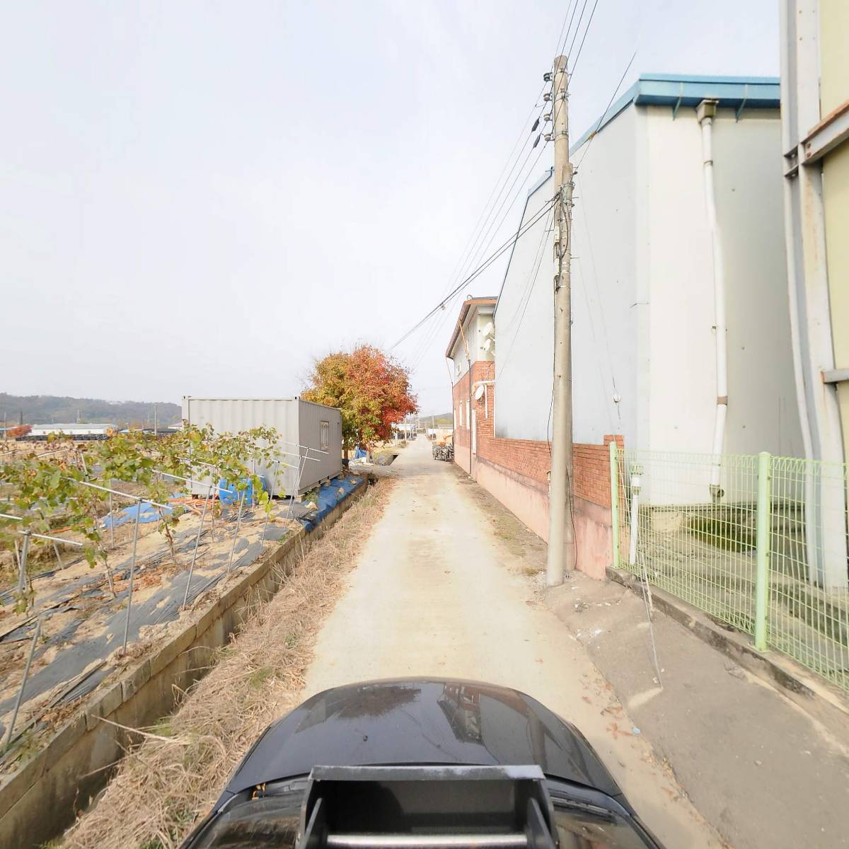 신금산 영농조합법인_4