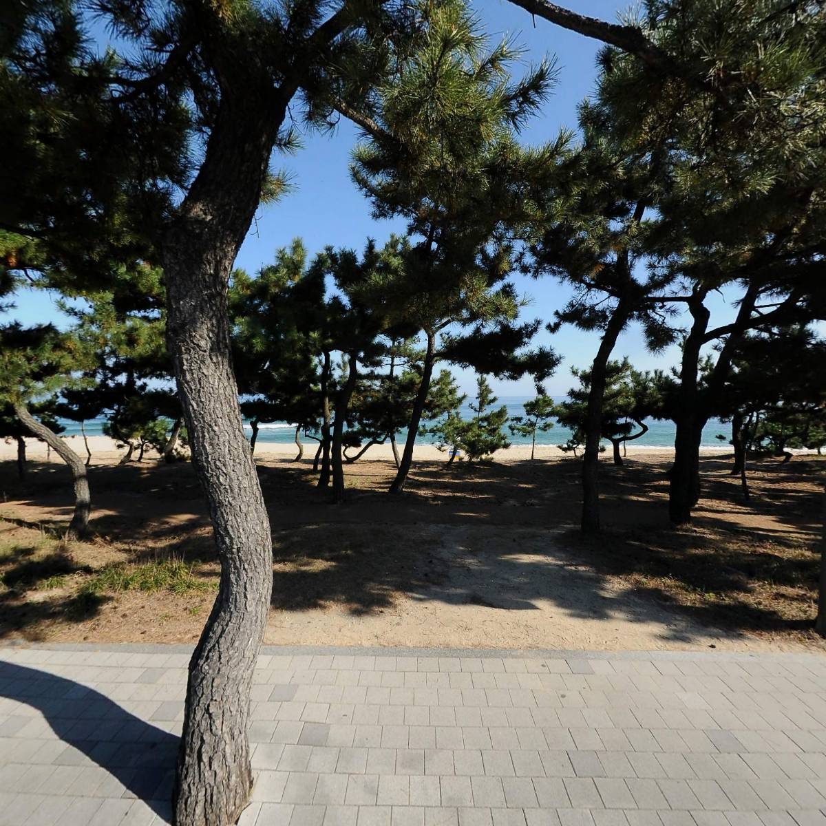 에스앤씨펩시카페안목살롱