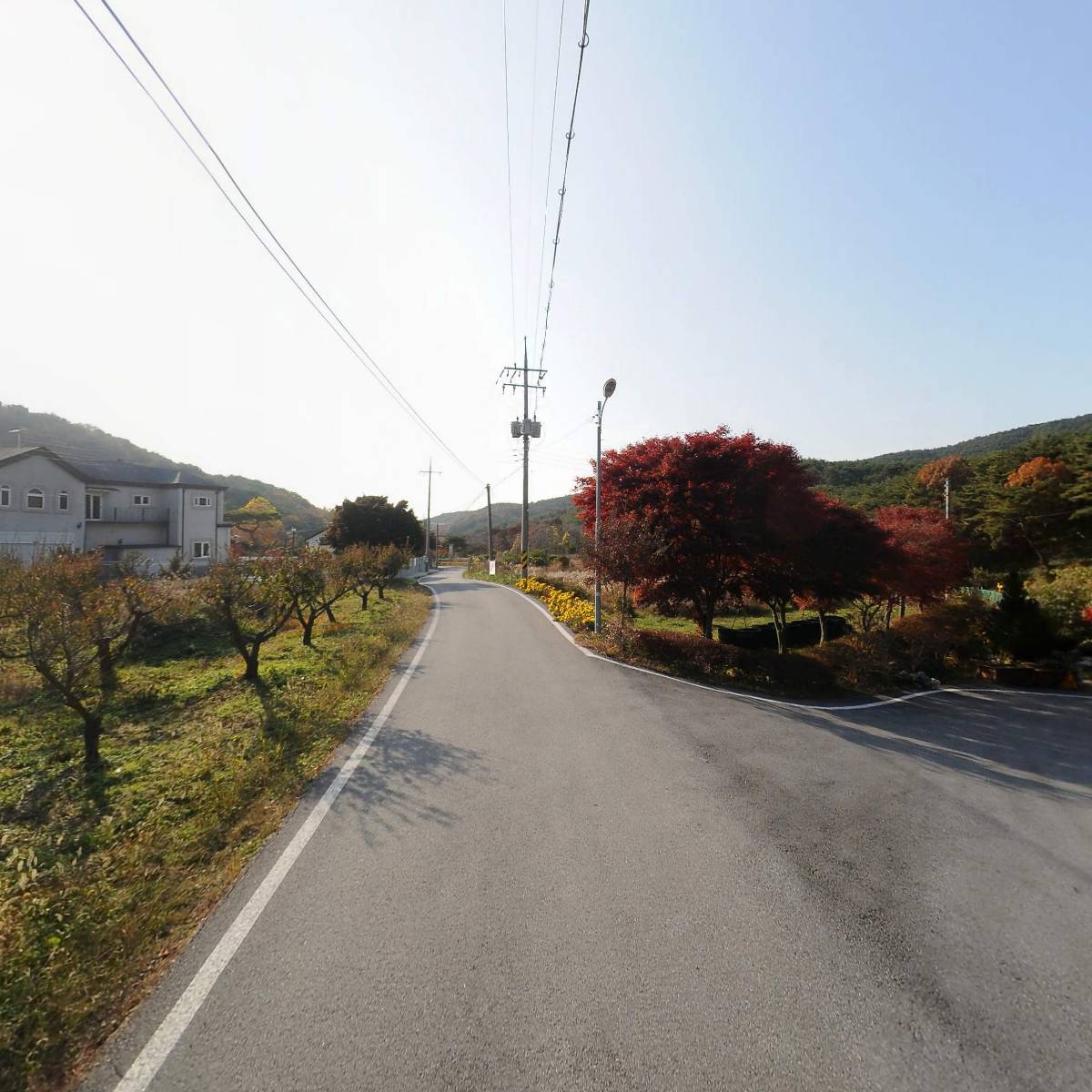 란수피.해밀울_2