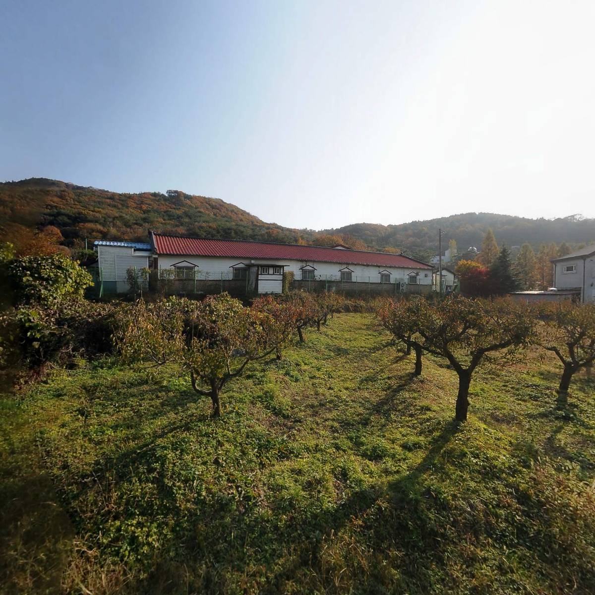 란수피.해밀울