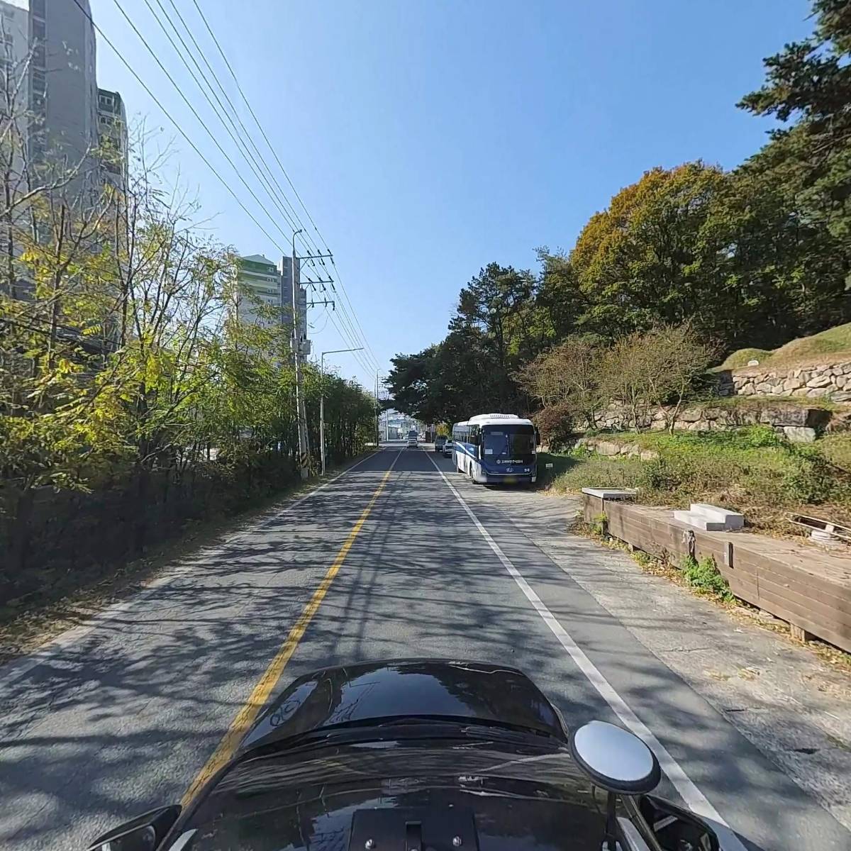 비피에프 캣_4
