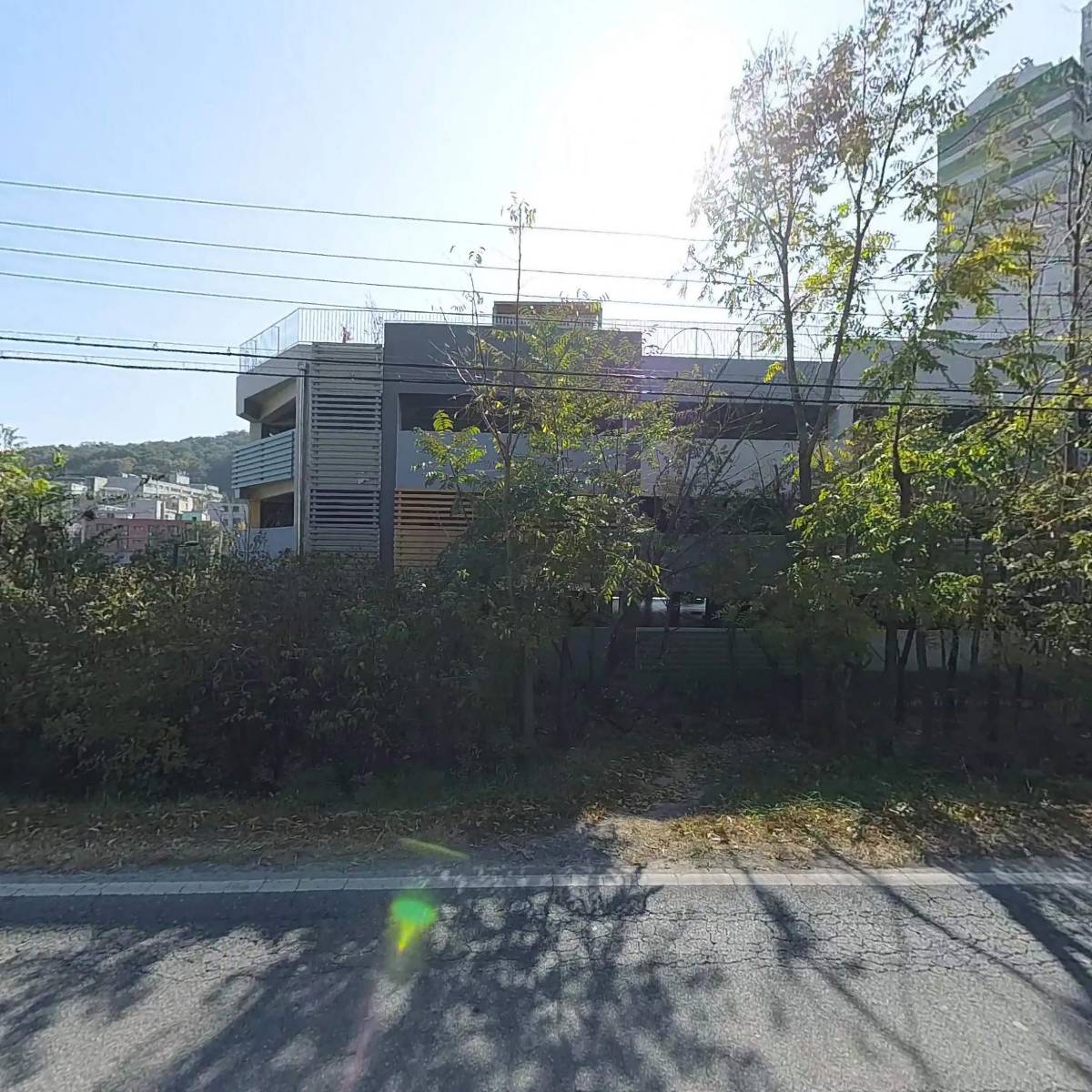 비피에프 캣_3