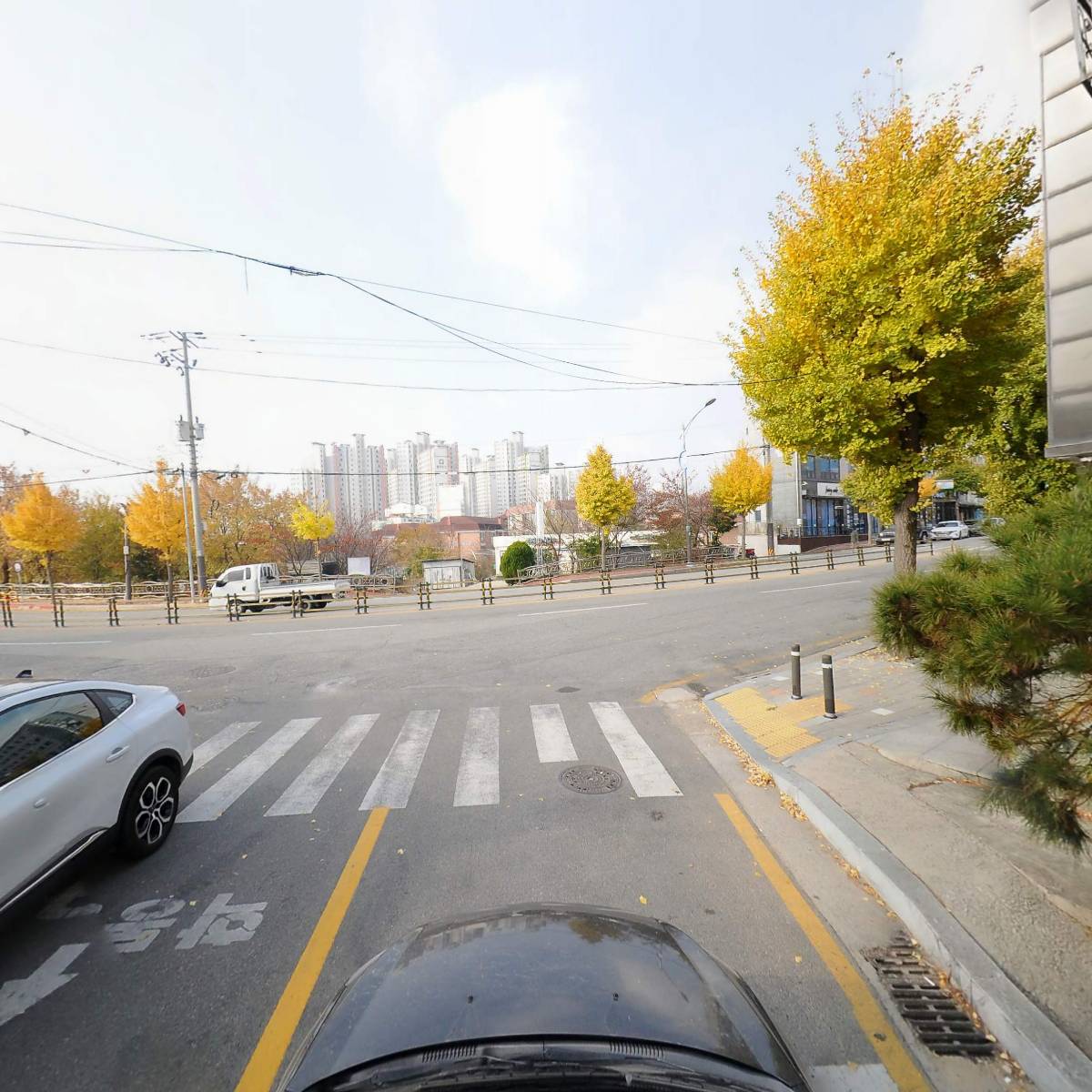 동물농장_4