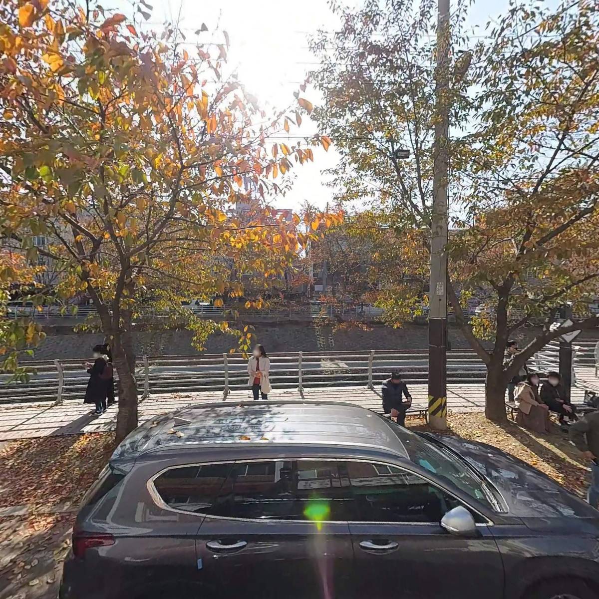 곤드레산나물밥집