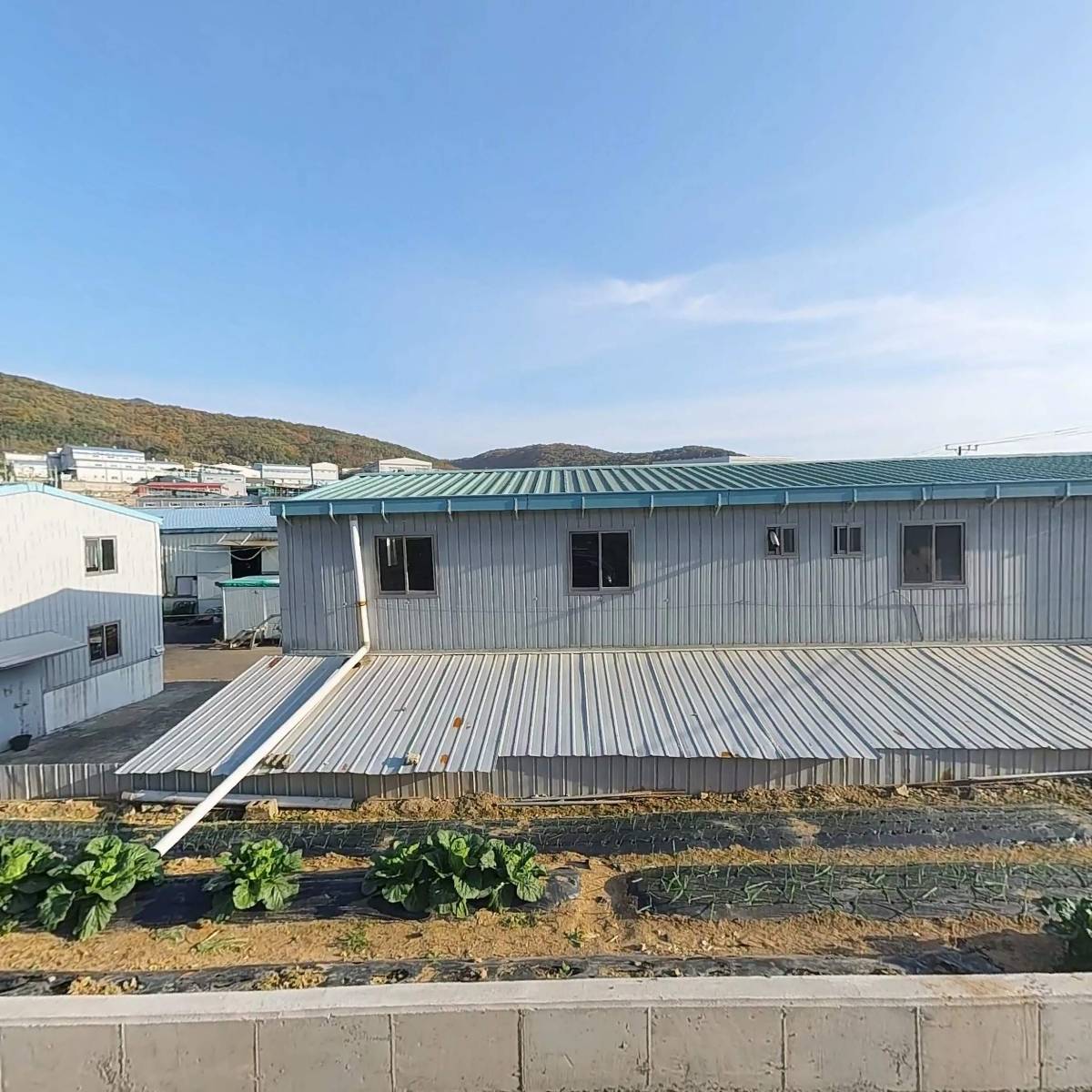 금보산업