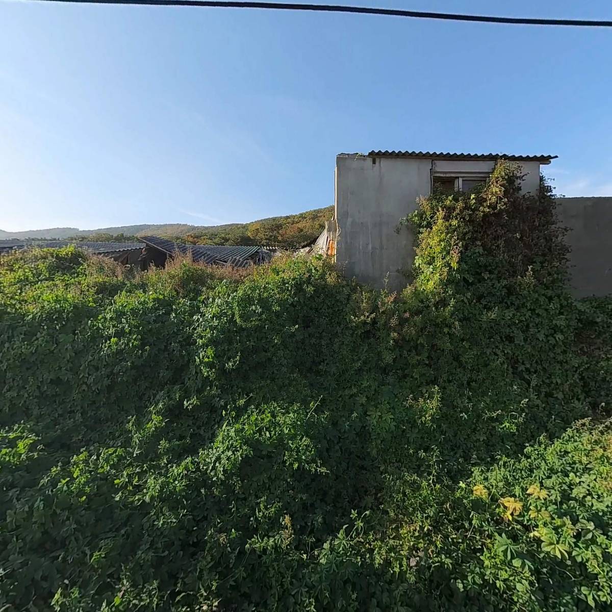 금보산업_3