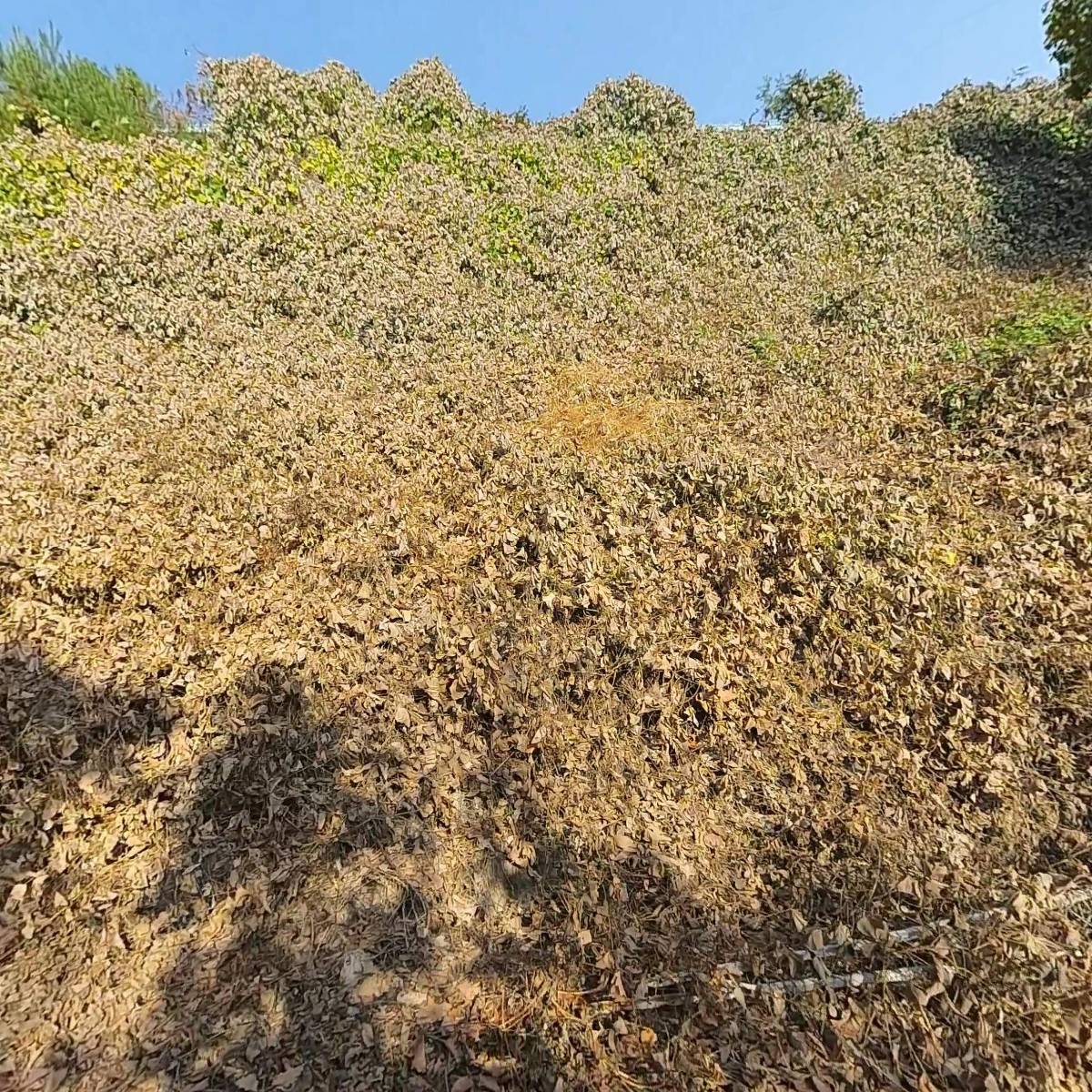 아성산업