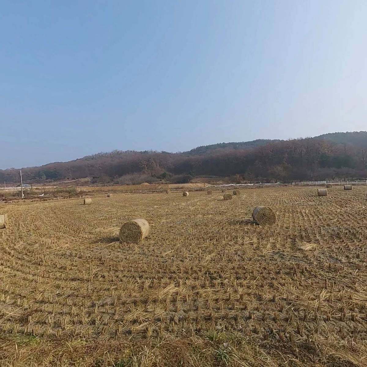 농업회사법인주식회사빼어날수