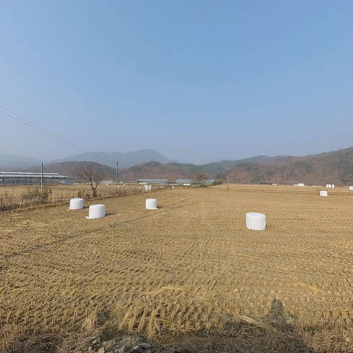 카트메이트
