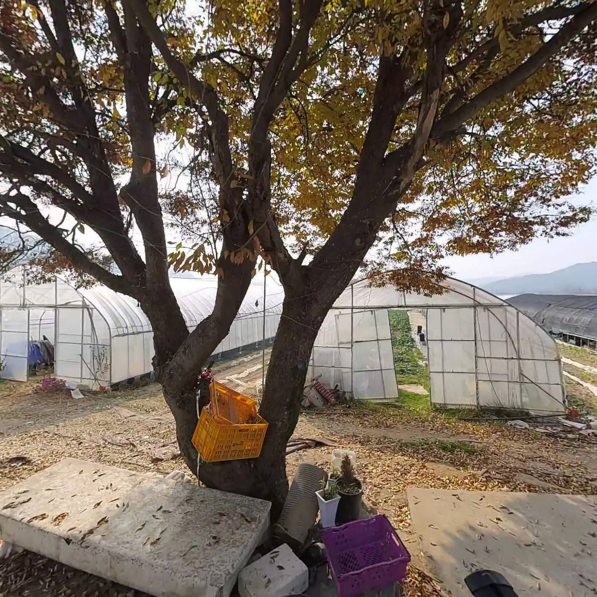 제철신선반창공장 생기를담아_3