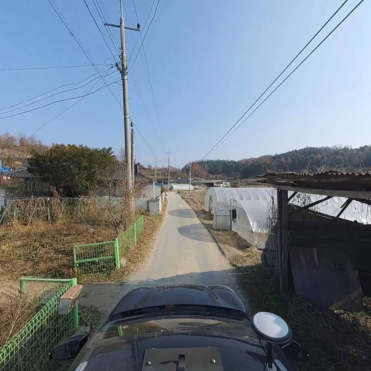 치악산꾸지뽕농장_4