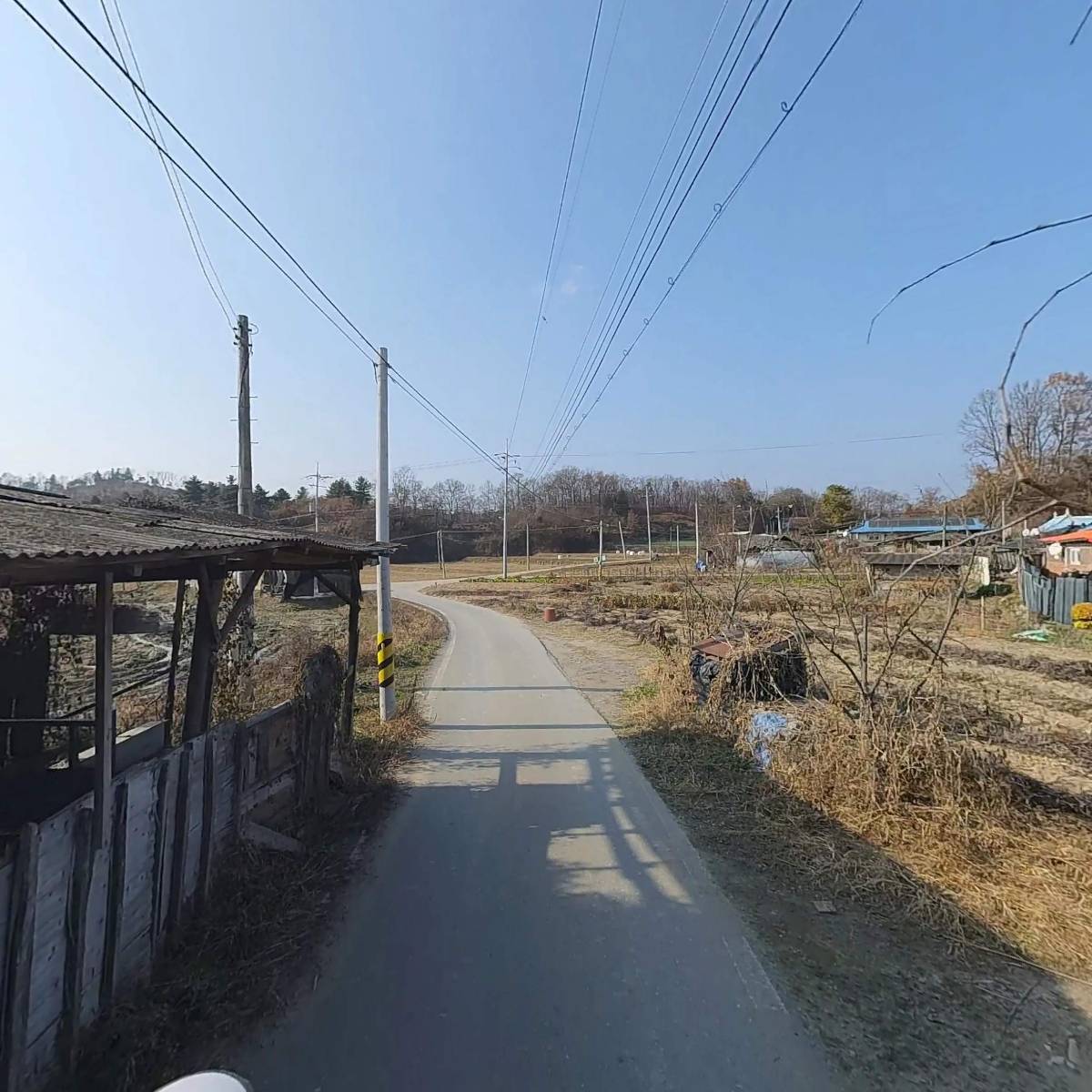 치악산꾸지뽕농장_2