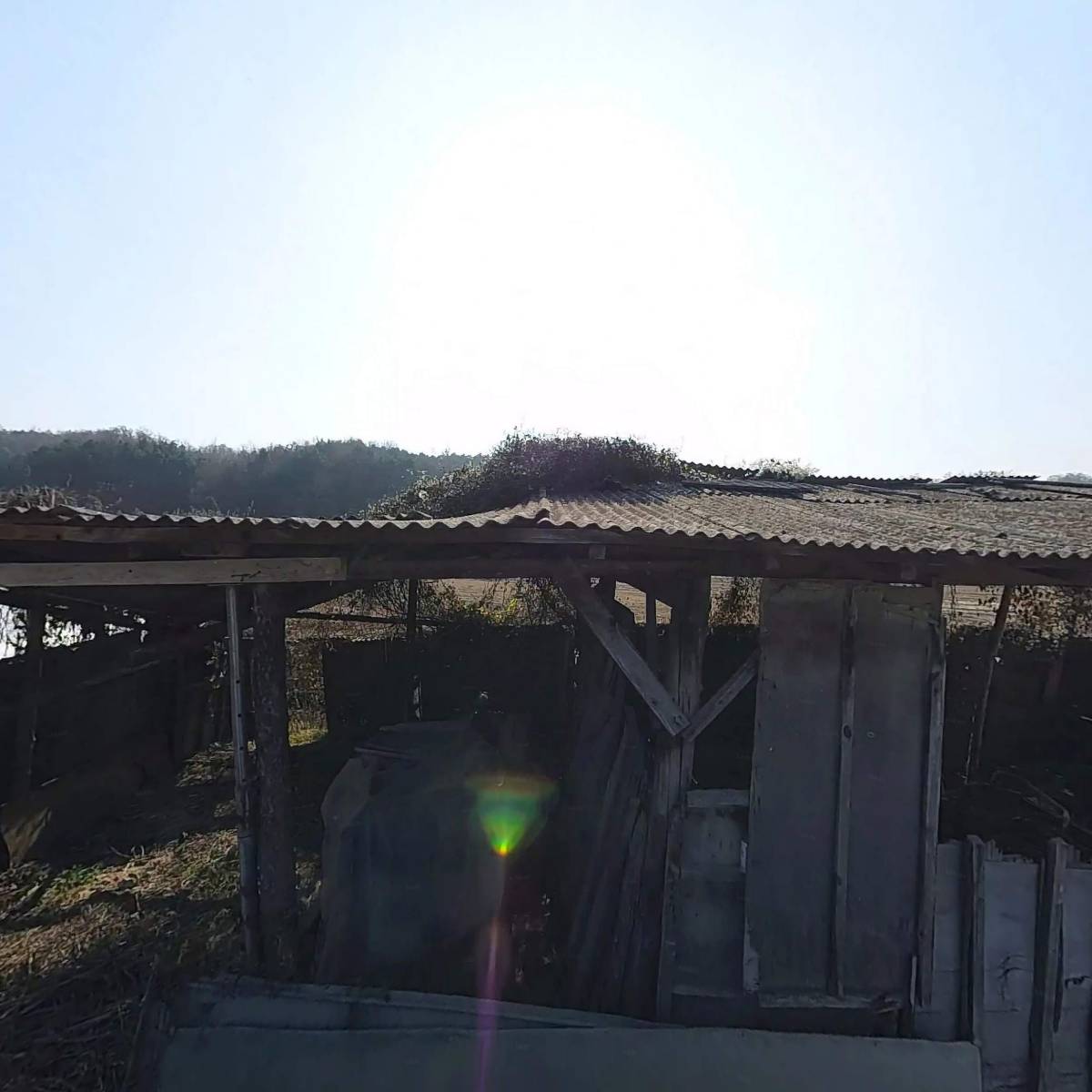 치악산꾸지뽕농장