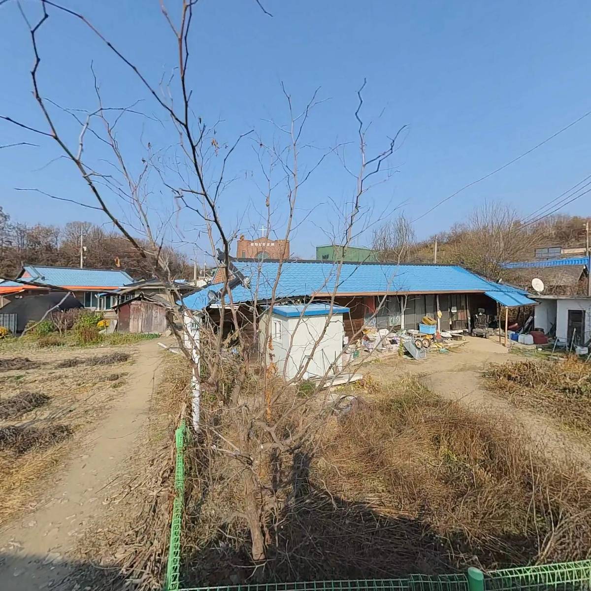 치악산꾸지뽕농장_3