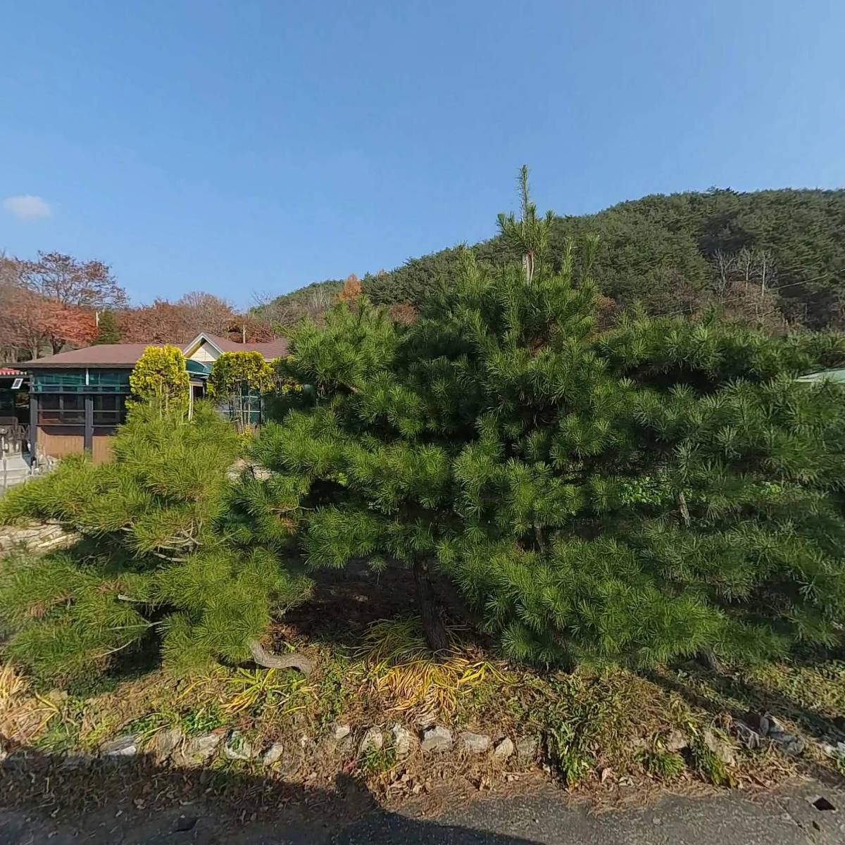 대한예수교장로회신림교회_3