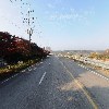 폴보스티_2