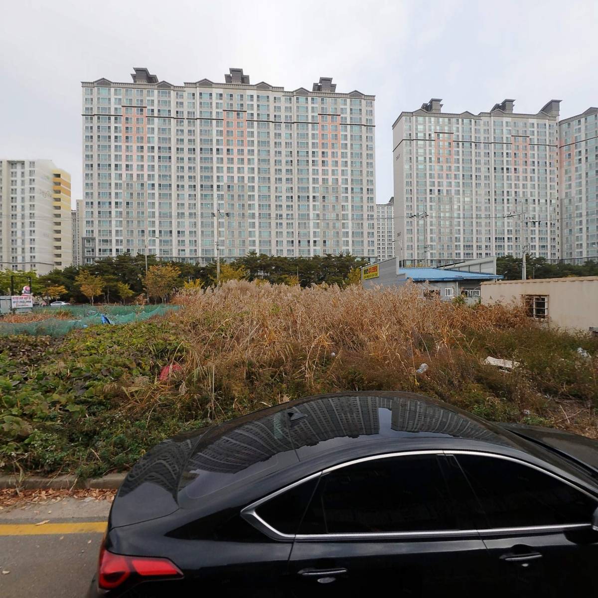 양서초등학교