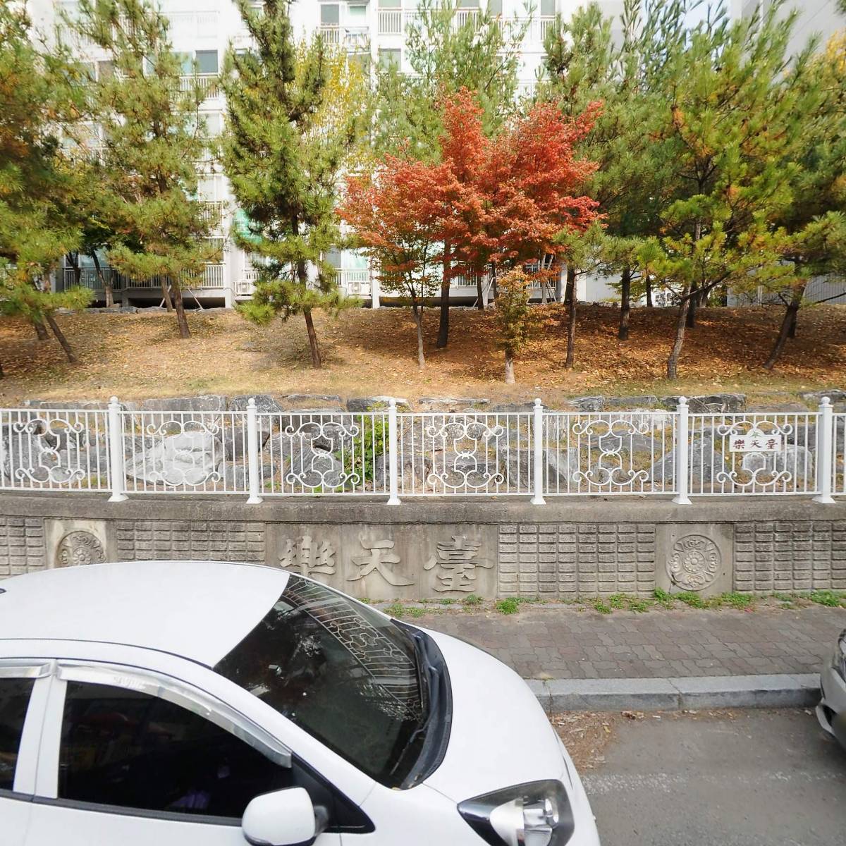 본가꼬막짬뽕