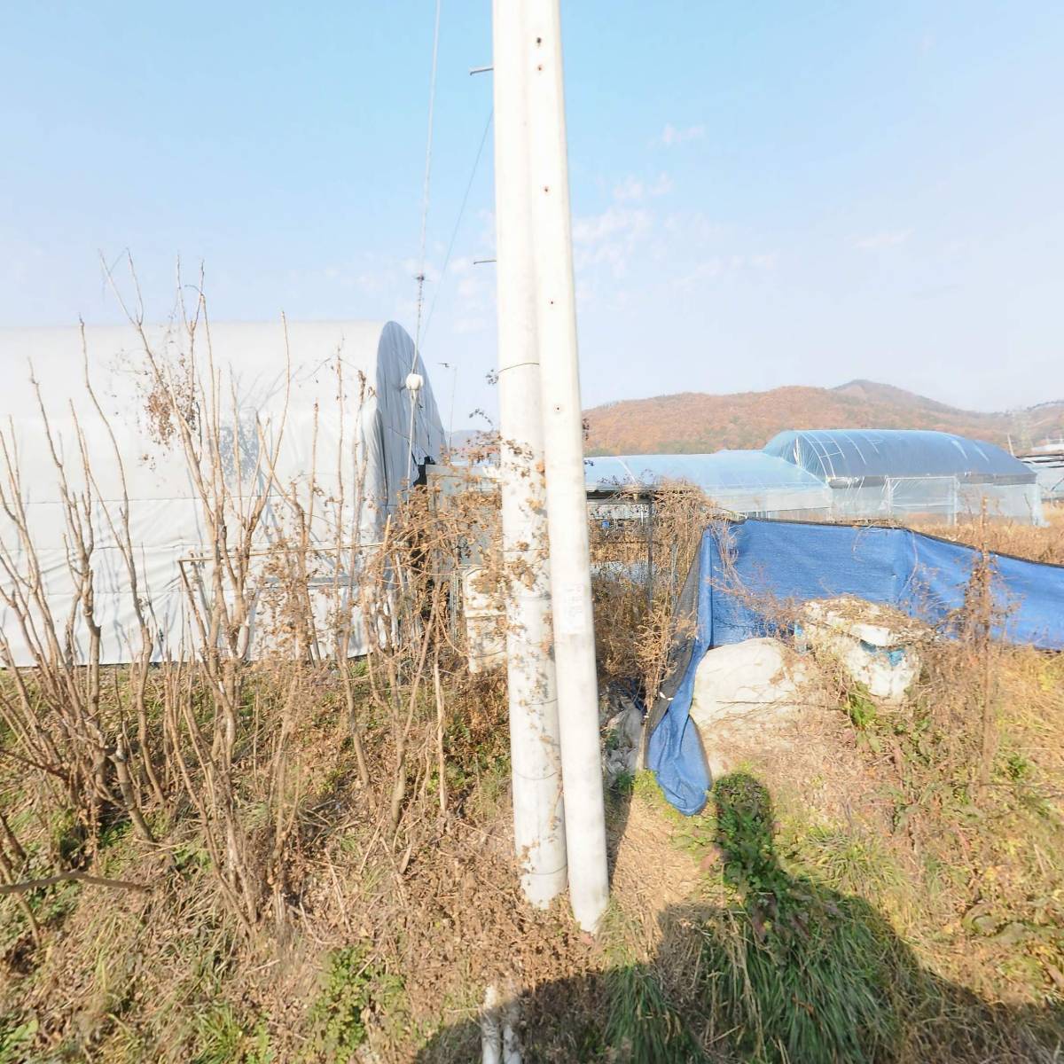 아짐숙_3