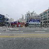 꿈꾸는 해삼_3