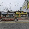 왕손피자