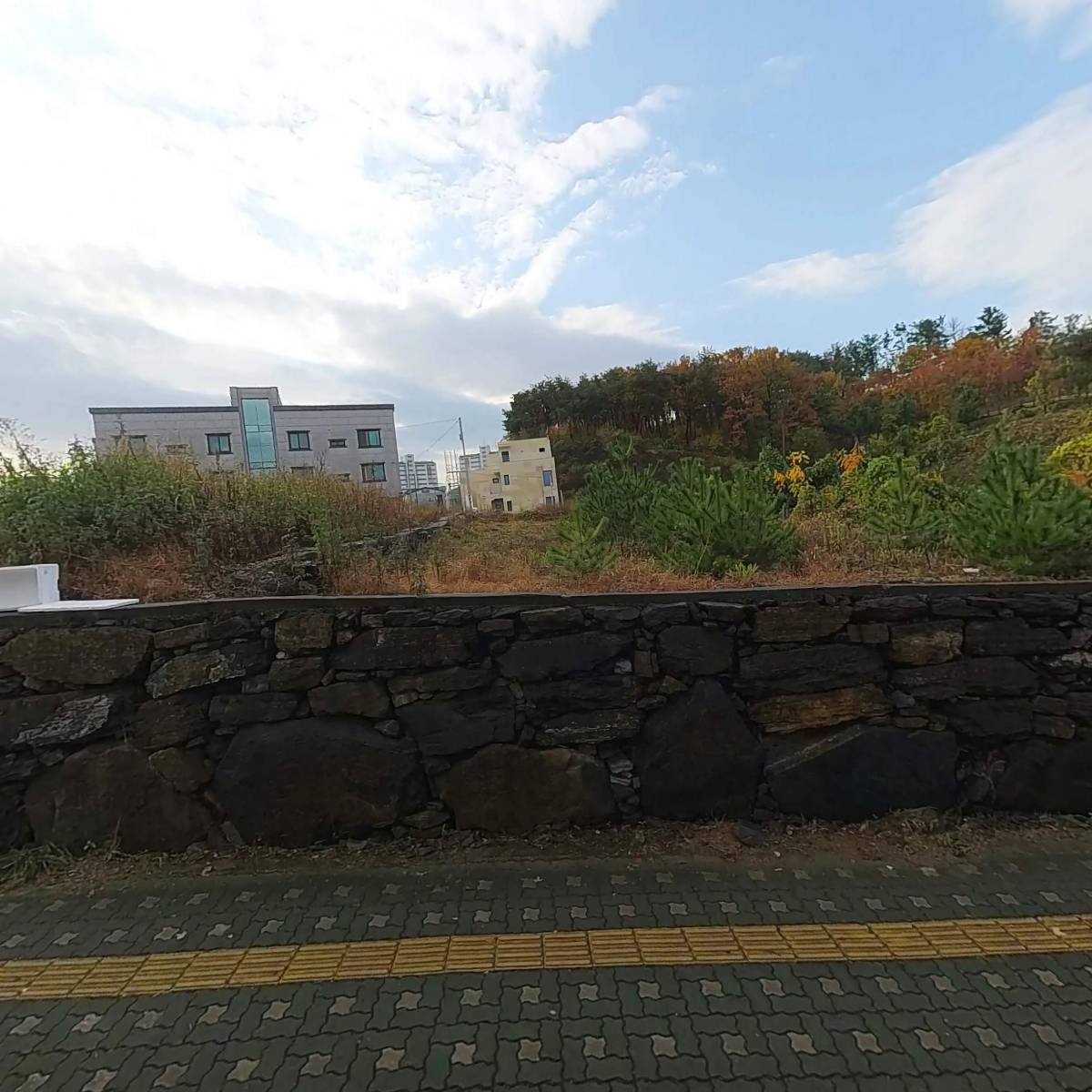 최쉐프