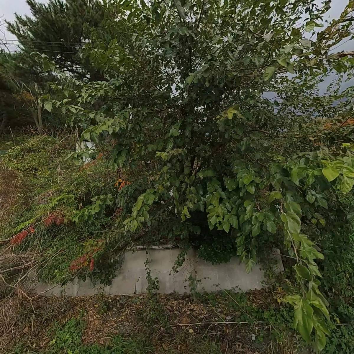 (주)태스콘
