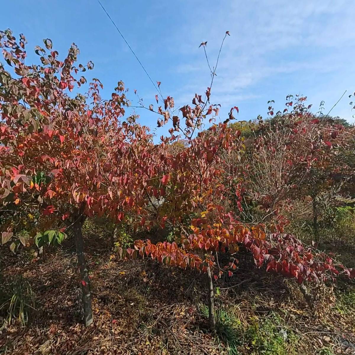 한전케이피에스（주）울산지점