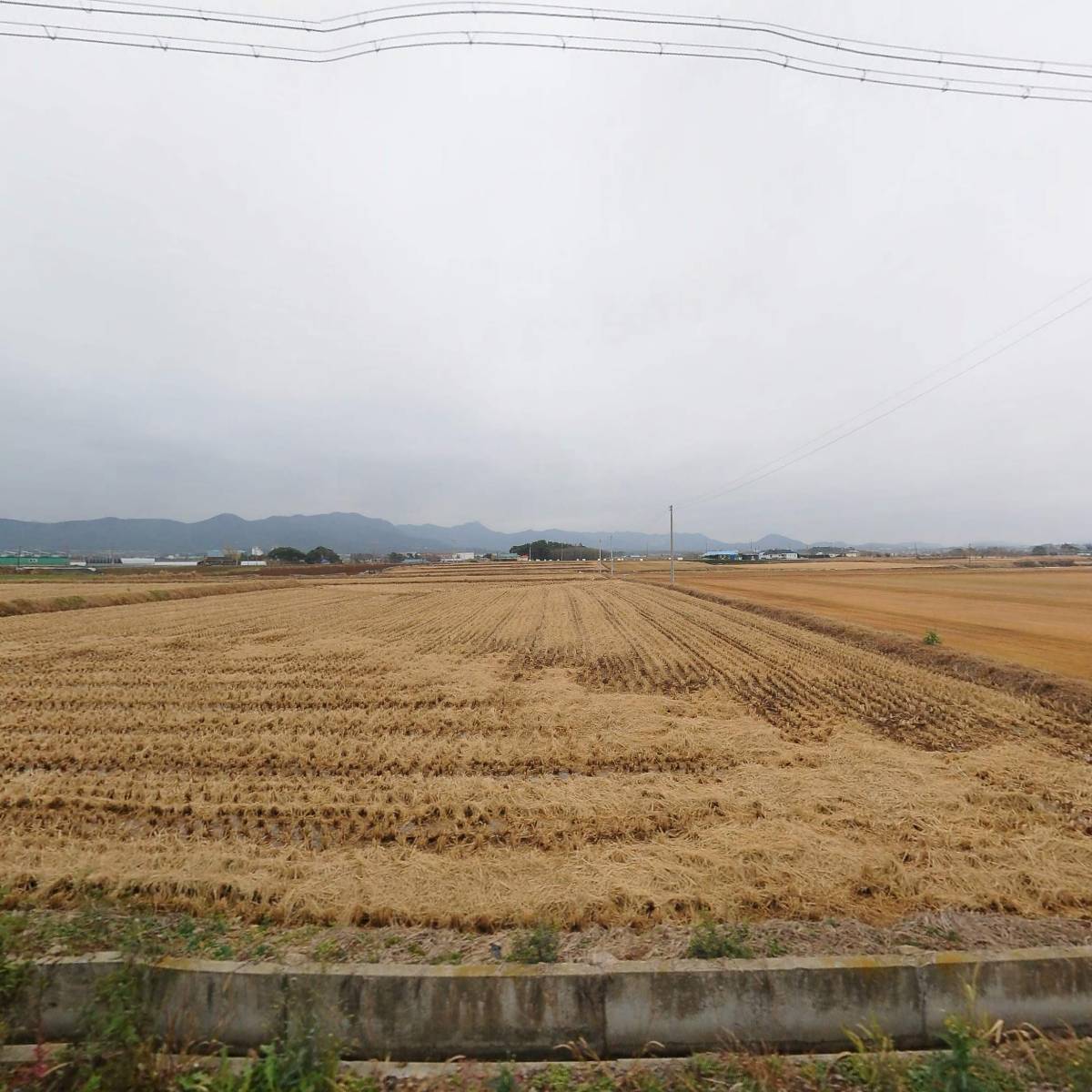 충남관광(주)