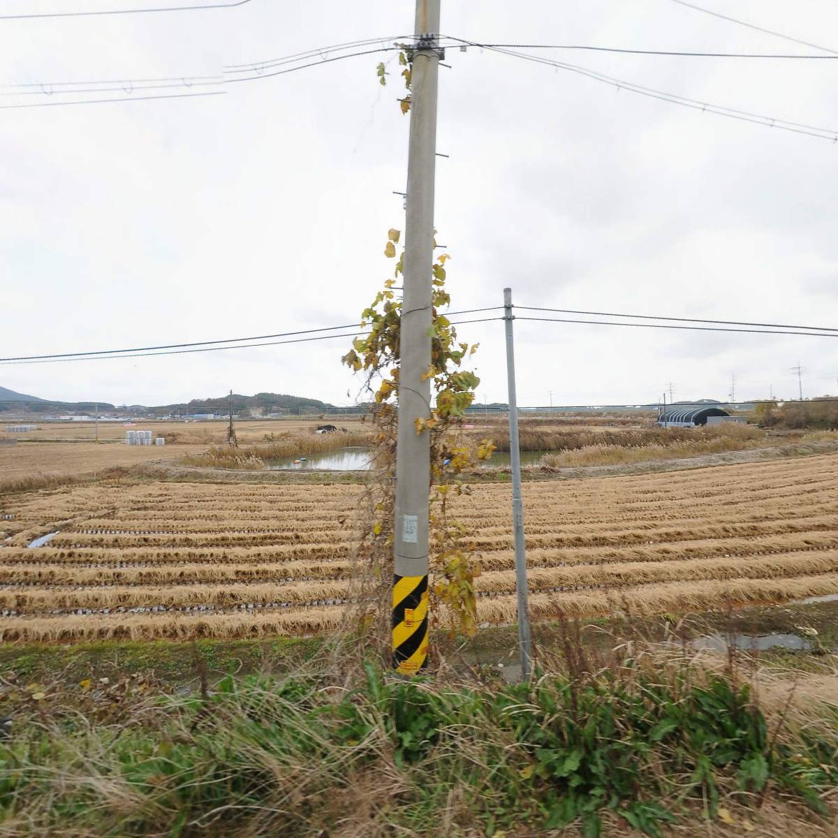 나성수산