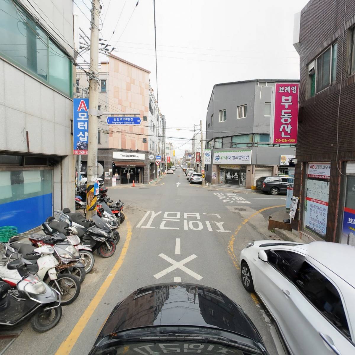 （사） 한국야생화협회 포항시지부_4