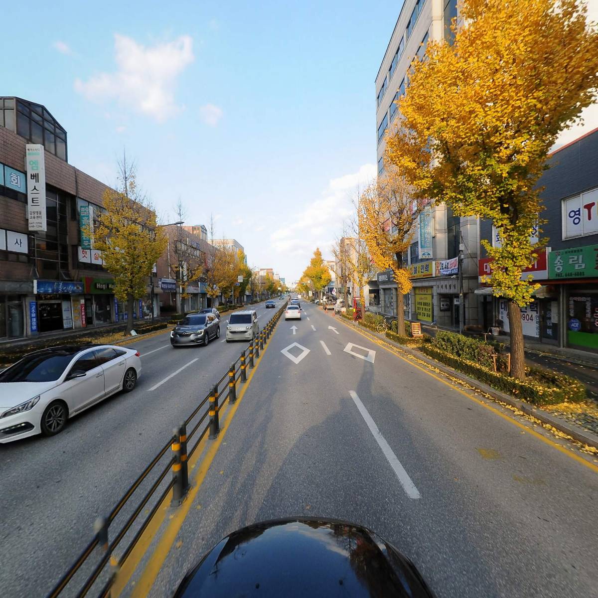 국제키비탄한국본부 강릉클럽_4