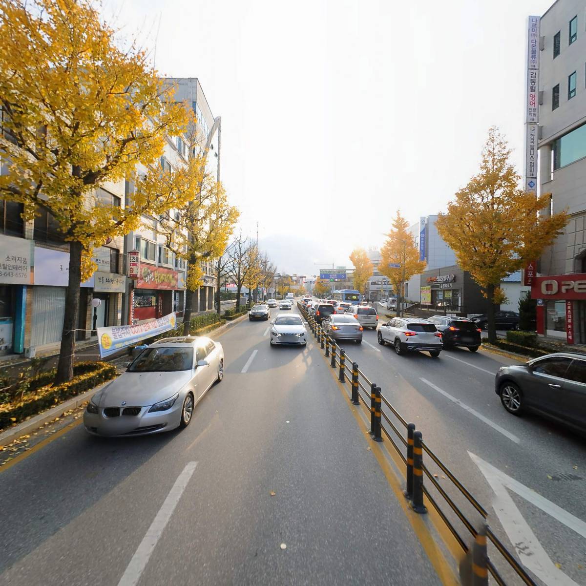 국제키비탄한국본부 강릉클럽_2