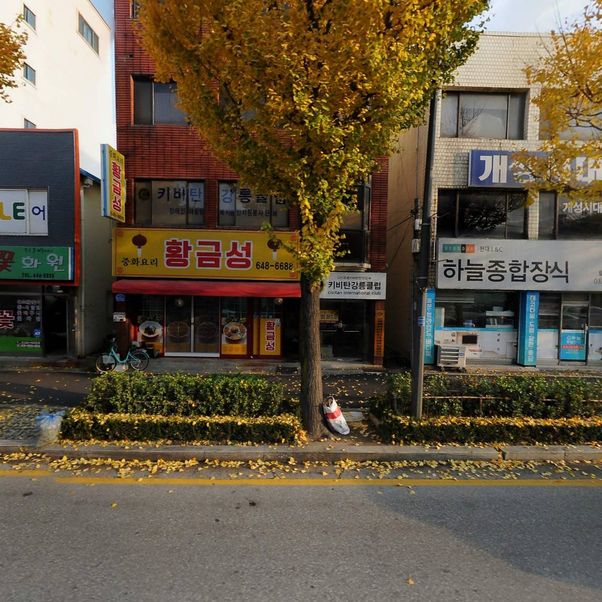 국제키비탄한국본부 강릉클럽