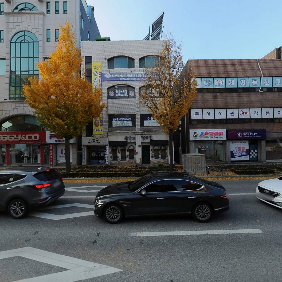 국제키비탄한국본부 강릉클럽_3
