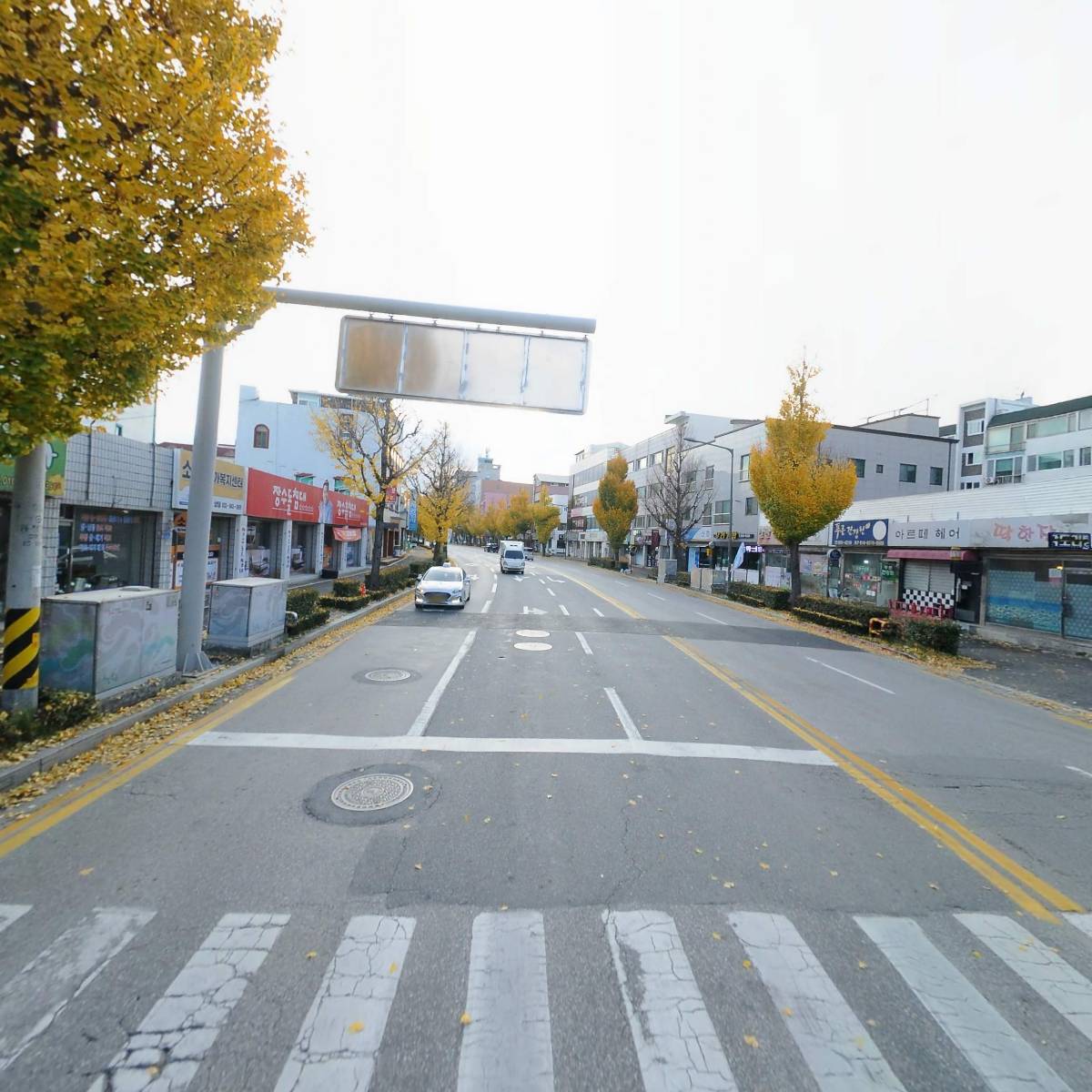 피자토비_2