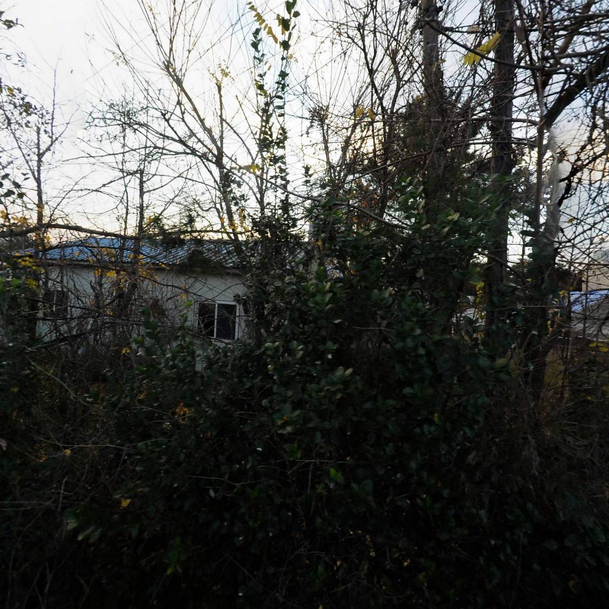 (주)세운레미콘_3