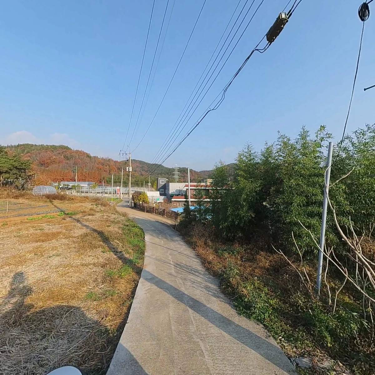 번창타이어_2