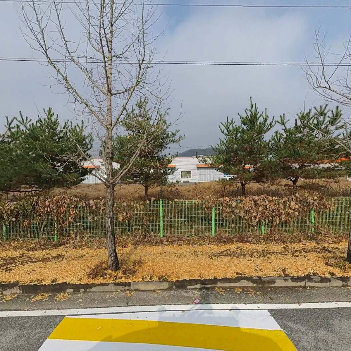 （주）네오비젼원주지점