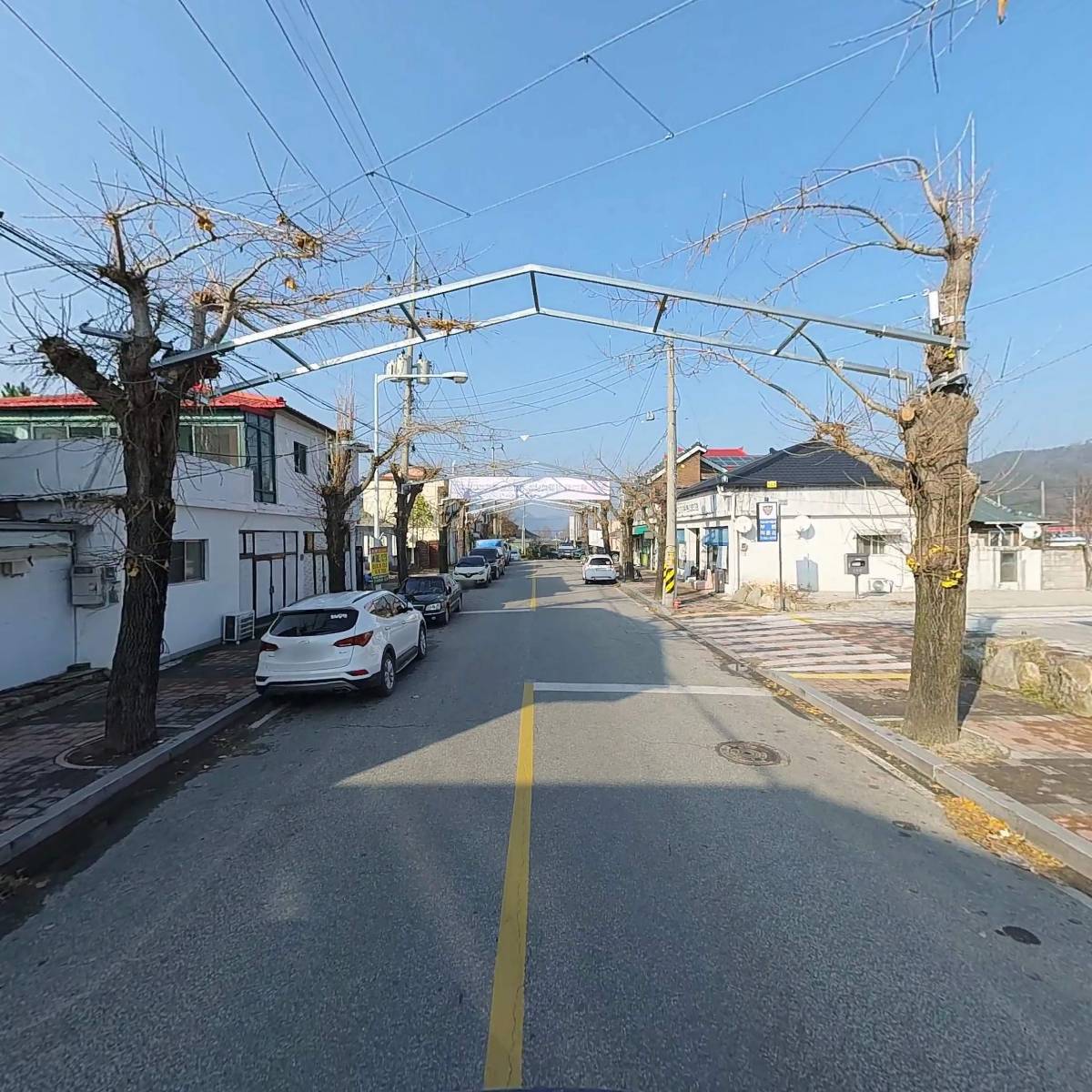 살찐암소_2