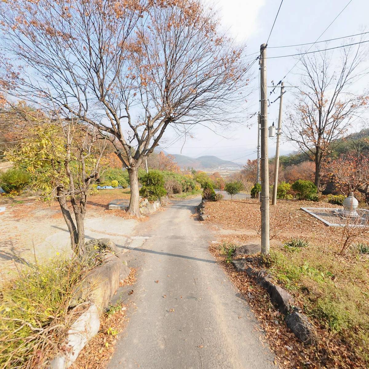 한국불교태고종 안국사_2