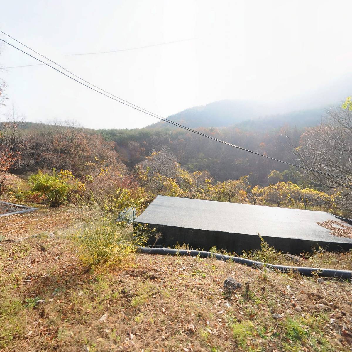 한국불교태고종 안국사_3