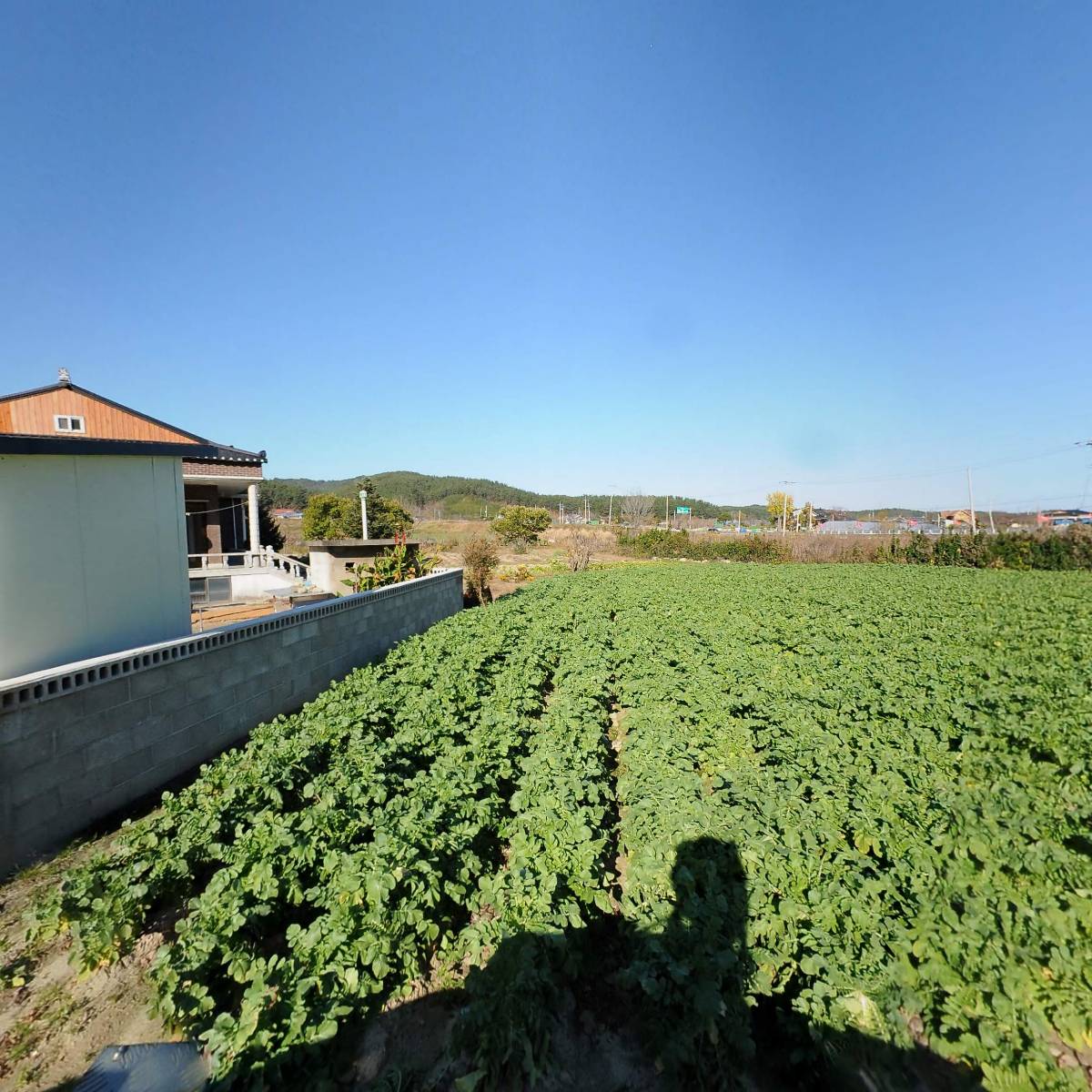 바롬한과