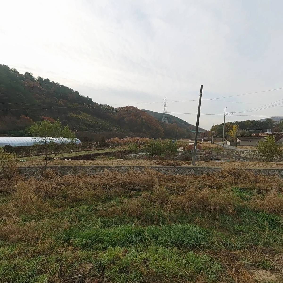 단꿈미디어