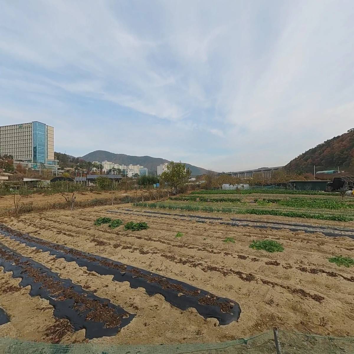 단꿈미디어_3