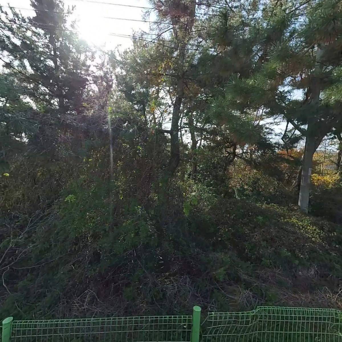 농협흙사랑 울산대리점