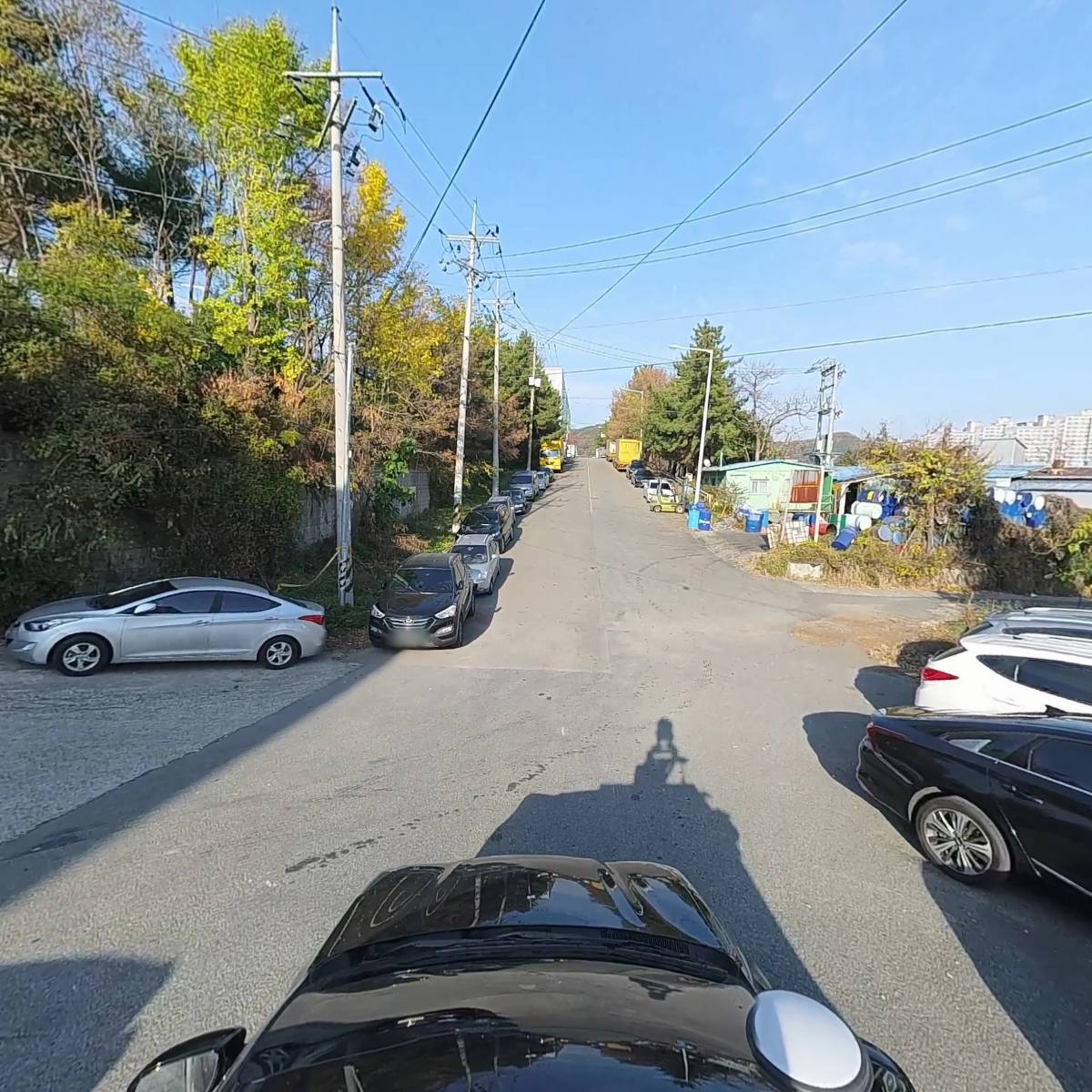 구애타포린_4
